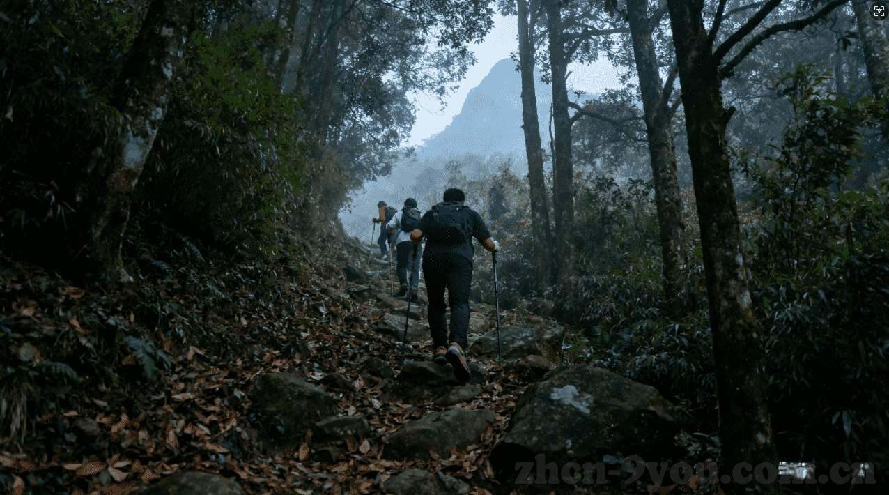 法哈尼 巴西世界杯-法哈尼与巴西世界杯,足球激情与异国风情的碰撞